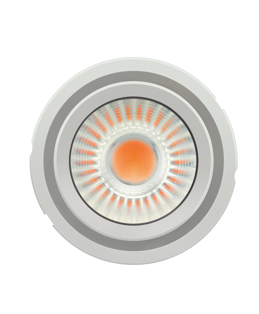LED modul LEDVANCE PL-CN111-COB-2800-840-24D-G2