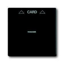 ABB 2CKA001710A3905 Kryt spínače kartového, s čirým průzorem 10-Future