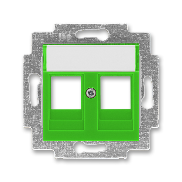 Kryt zásuvka datová/komunikační dvojnásobná s popisovým polem ABB Levit zelená