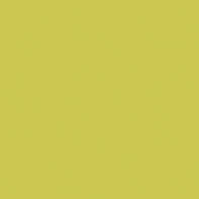 Dlažba Rako Color Two 20×20 cm žlutozelená matná GAA1K464