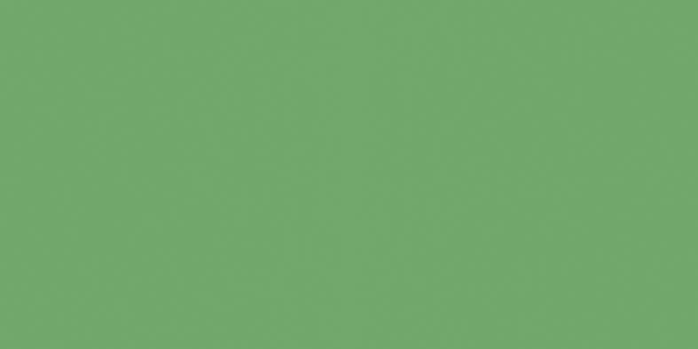 Obklad Rako Color One 20×40 cm zelená lesklá, WAAMB456