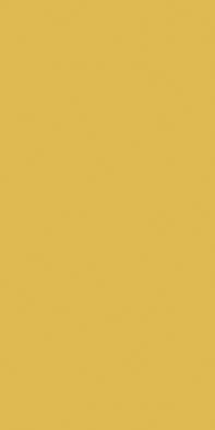 Dlažba Rako Color Two 10×20 cm tmavě žlutá matná GAAD8142