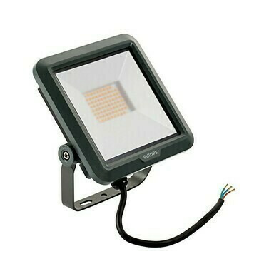 Reflektor LED Philips Ledinaire Mini, 4000K, 27W, IP65