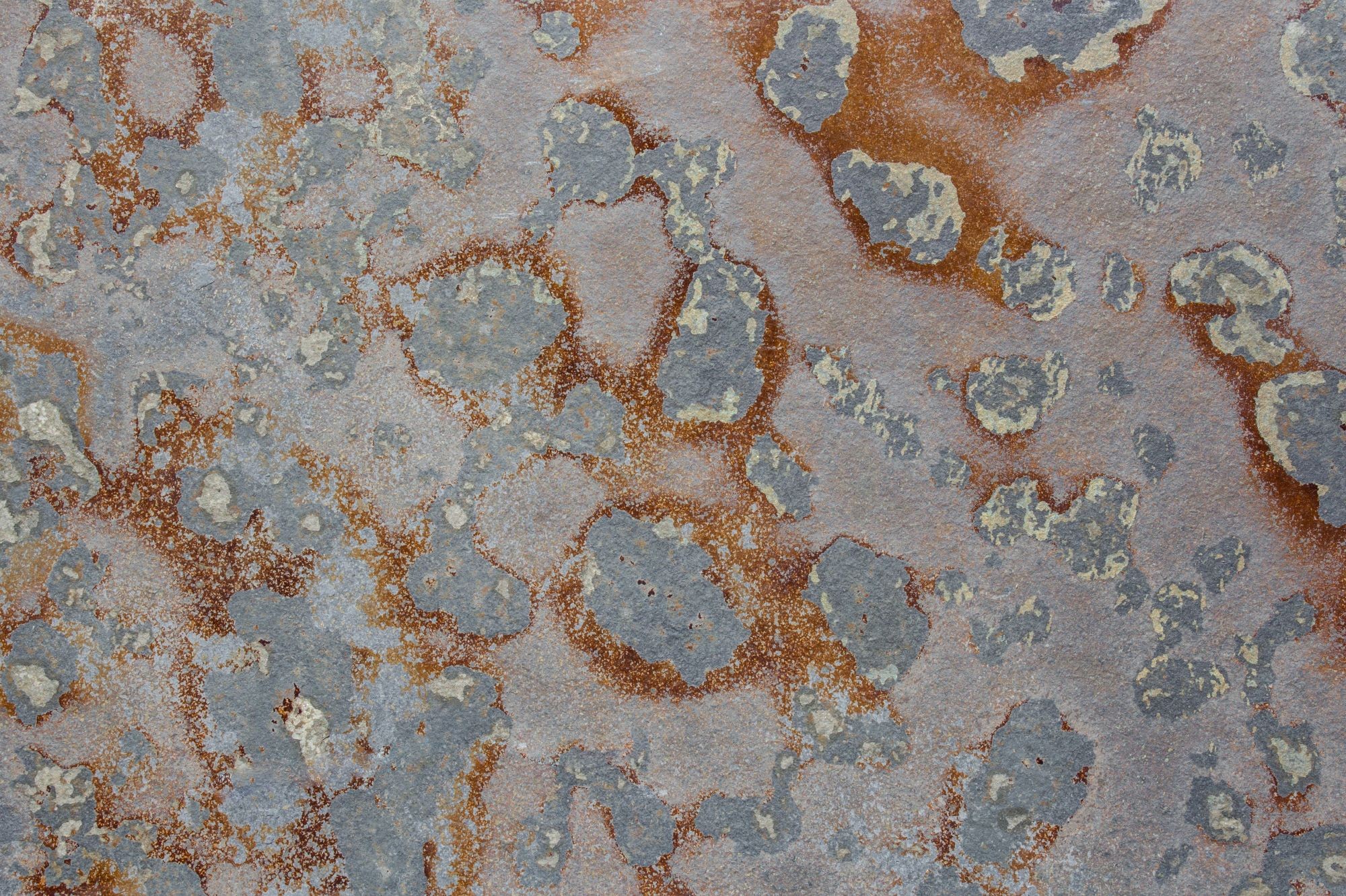 Dlažba kamenná DEKSTONE N 3152 Multicolour Slate břidlice přírodní 600×300 mm 1,08 m2