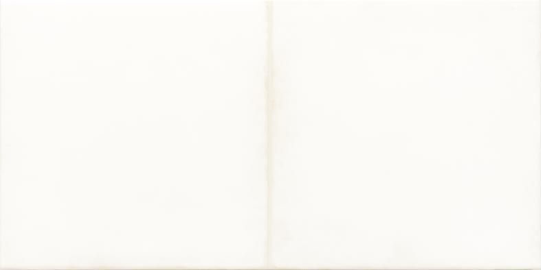 Obklad Rako Retro 20×40 cm bílá (dekor 20×20 ) WARMB521