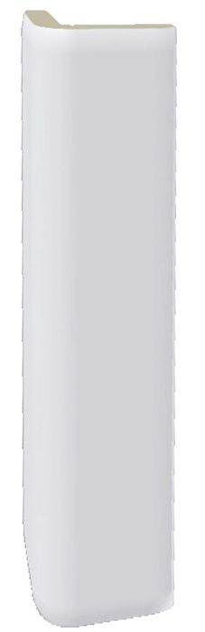 Hrana vnější průběžná Rako Color Two 2,4×20 cm bílá matná GSEAPF23