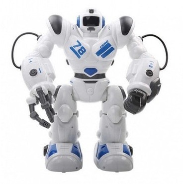 RC Robohoter RTR