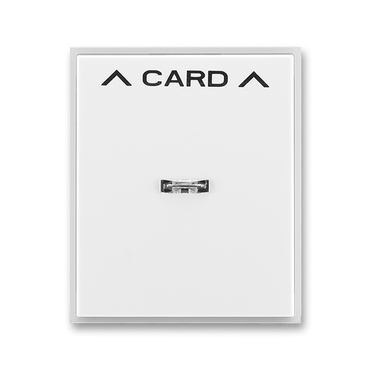 Kryt spínače kartového, s čirým průzorem, s potiskem Time/Element bílá / ledová bílá