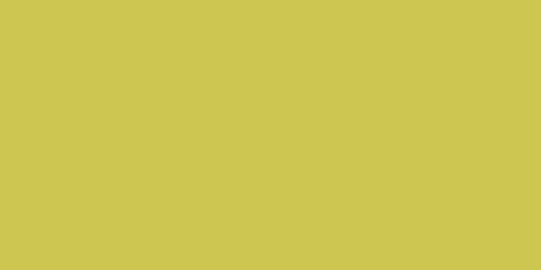 Obklad Rako Color One 20×40 cm žlutozelená lesklá, WAAMB454