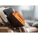 Houba brusná Bosch Expert S470 69×26×96 mm hrubá