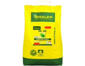 Lepidlo cementové C2FT Bralep OL 30 25 kg
