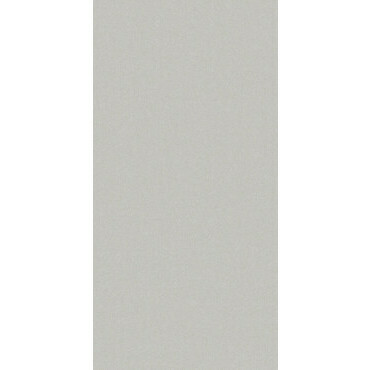 Dlažba Vibe MONOLIGHT 60×120 cm šedá