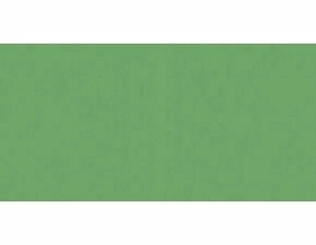 Obklad Rako Color One 20×40 cm zelená lesklá, WAAMB456