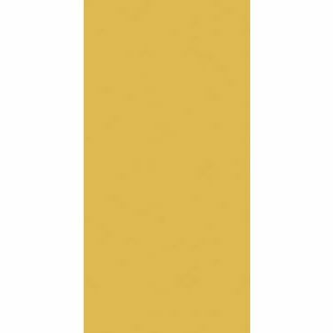 Dlažba Rako Color Two 10×20 cm tmavě žlutá matná GAAD8142