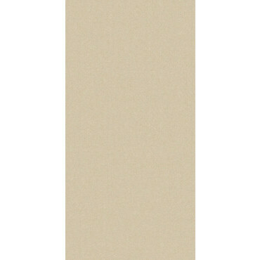 Dlažba Vibe MONOLIGHT 60×120 cm béžová
