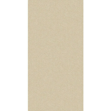 Dlažba Vibe MONOLIGHT 30×60 cm béžová