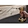 Utahovák rázový AKU DeWALT DCF850P2T