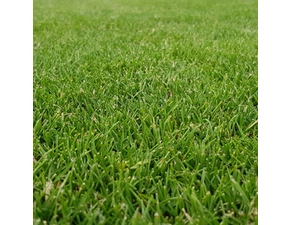 Koberec trávníkový GREENDEK TR K 20 0,4×2,5 m