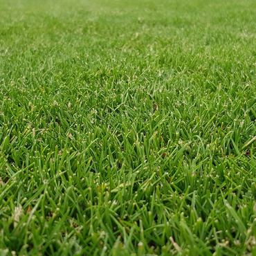 Koberec trávníkový GREENDEK TR K 20 0,4×2,5 m