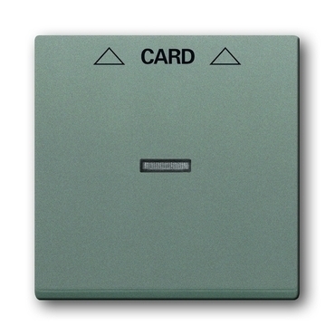 Kryt spínač kartový s průzorem ABB Solo metalická šedá