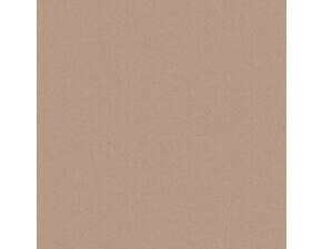 Dlažba Vibe MONOLIGHT 60×60 cm mocca