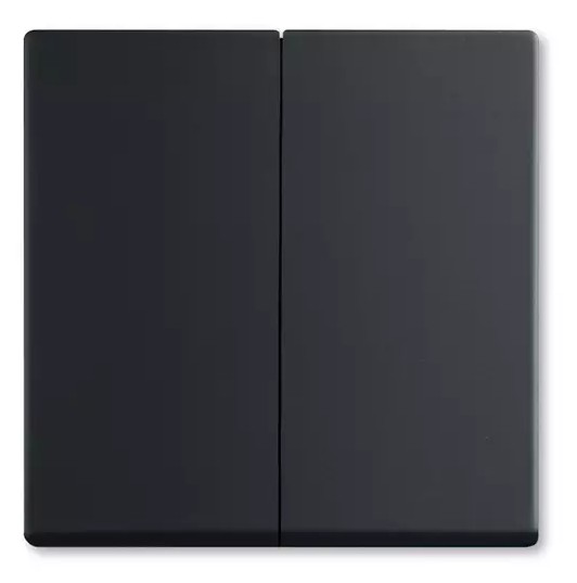 ROZBALENO Kryt pro Friends of Hue smart switch FUTURE mech.č ABB