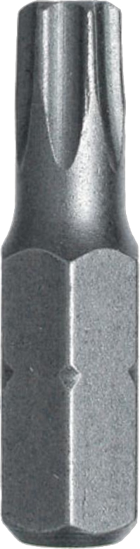 Bit Stahlberg T10 2 ks