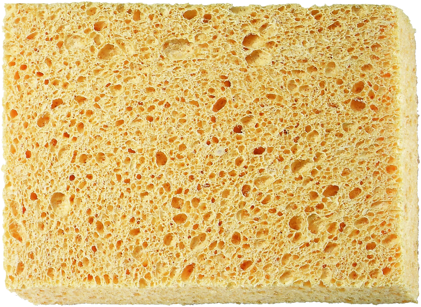 Houba čisticí Color Expert 110×150×35 mm