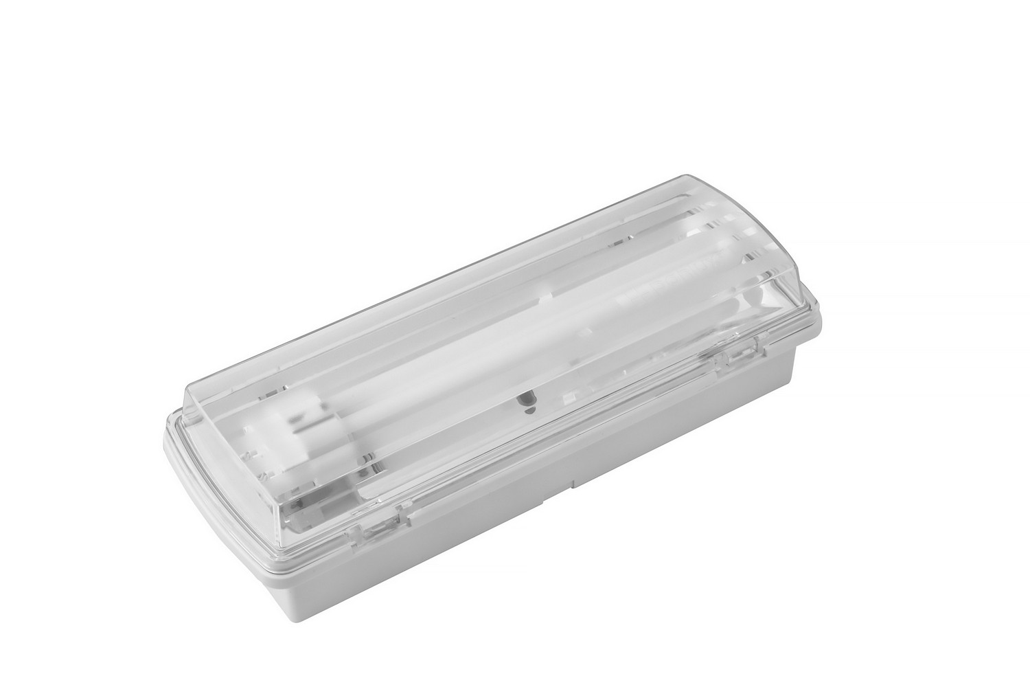 Svítidlo nouzové IP65, Panlux Fenix