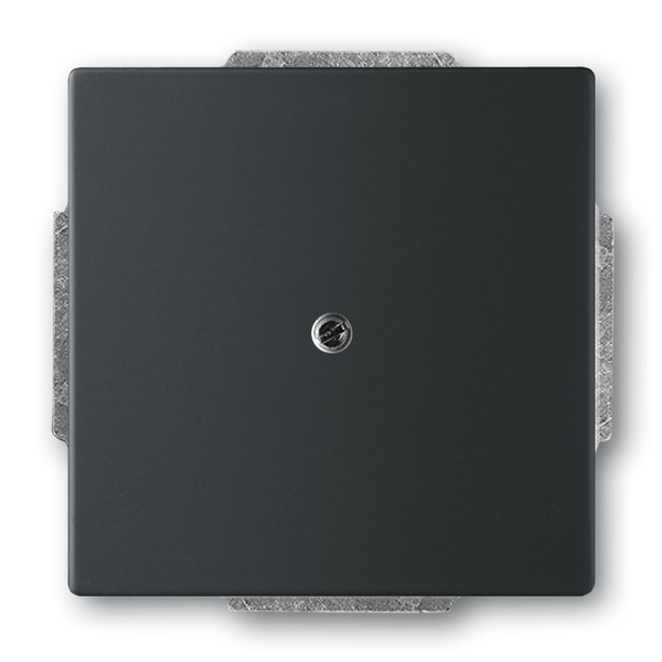 Záslepka ABB Future mechová černá