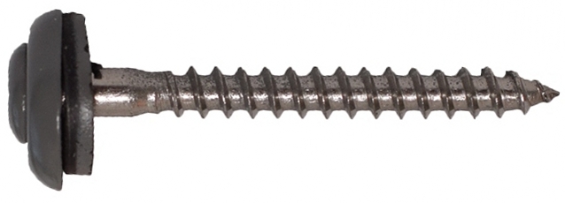 Šroub klemp. GUNNEX INOX S15 T20 4,5×60 mm RAL 7036 25 ks