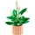 LEGO® Botanicals