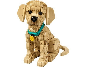 LEGO® Icons – Šteňa zlatého retrievera