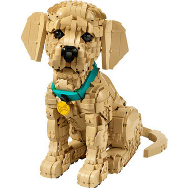 LEGO® Icons – Šteňa zlatého retrievera