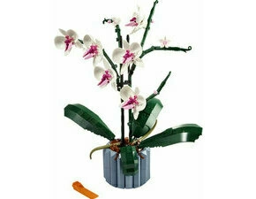 LEGO® Botanicals – Orchidea