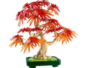 LEGO® Botanicals Bonsaj – Japonský červený javor