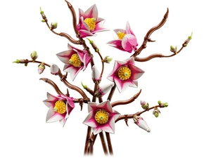 LEGO® Botanicals – Vetvičky magnólie