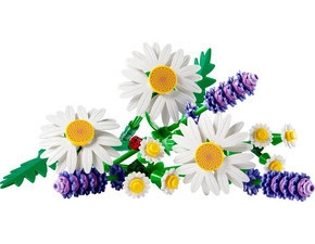 LEGO® Botanicals – Kopretiny