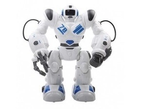 RC Robohoter RTR