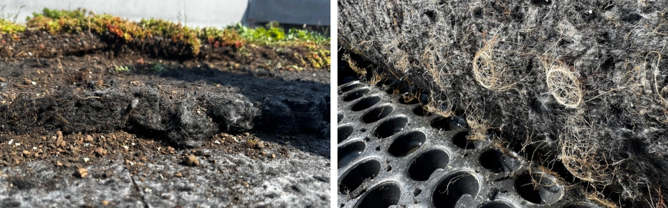 aquadesk prokořenění