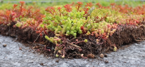 Recyklované retenční desky