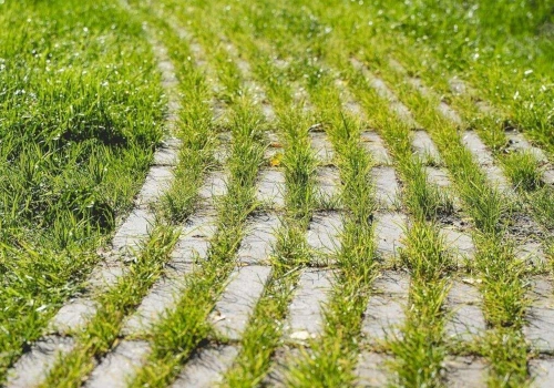 Betonová zatravňovací dlažba LIAPOR RAINSTONE