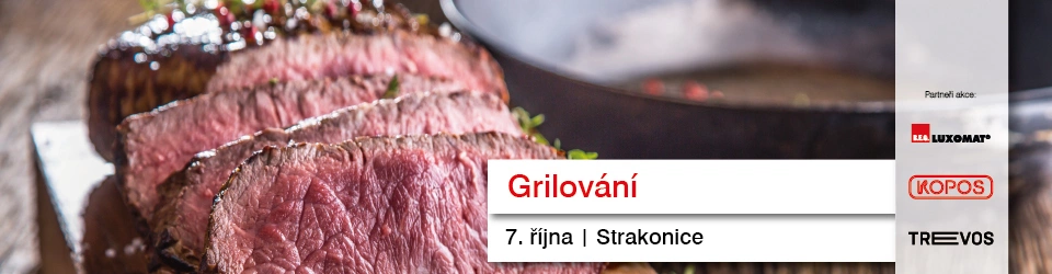 Strakonice_grilování