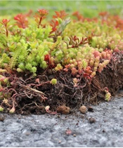 Recyklované retenční desky do zelených střech