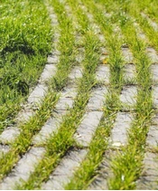 Betonová zatravňovací dlažba LIAPOR RAINSTONE