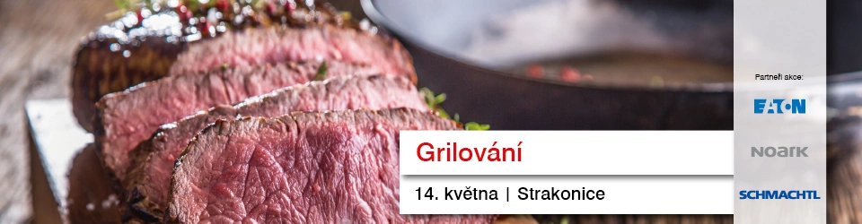 Strakonice - grilování