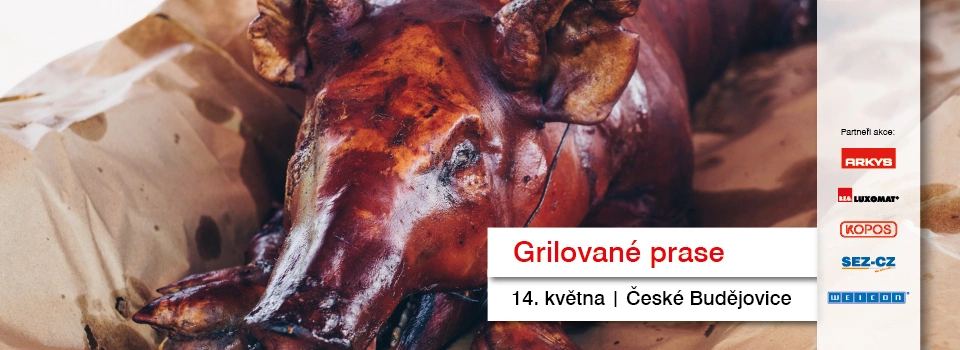 České Budějovice - grilování