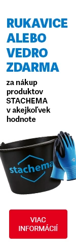 Stachema