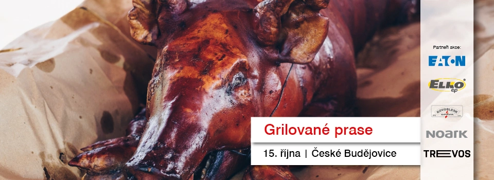 České Budějovice_prase