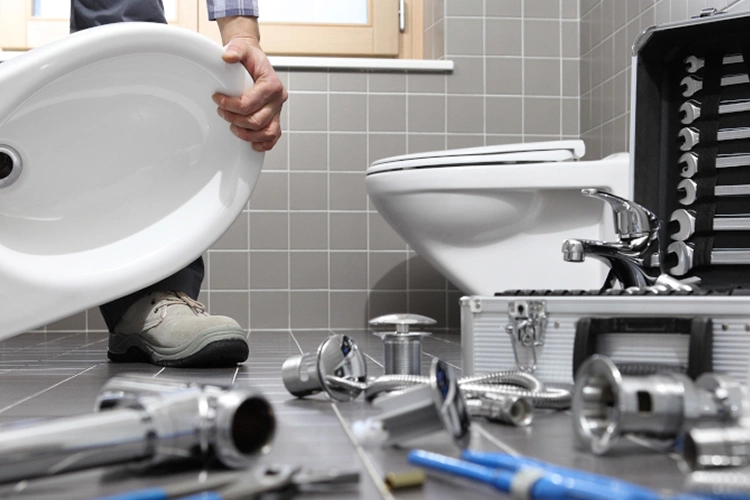 Přehled a rozdělení moderních WC